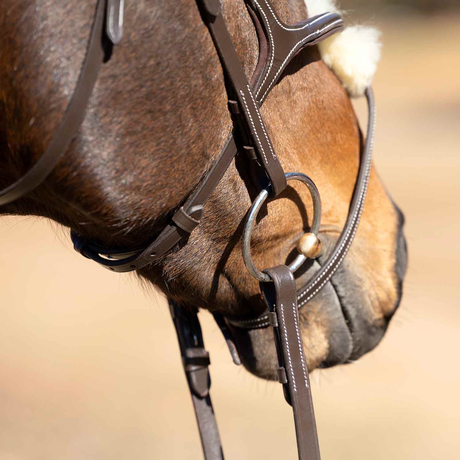 Jeffers Uniquely English Hickstead Figure-8 Bridle with Web Reins for Horses - Image 8