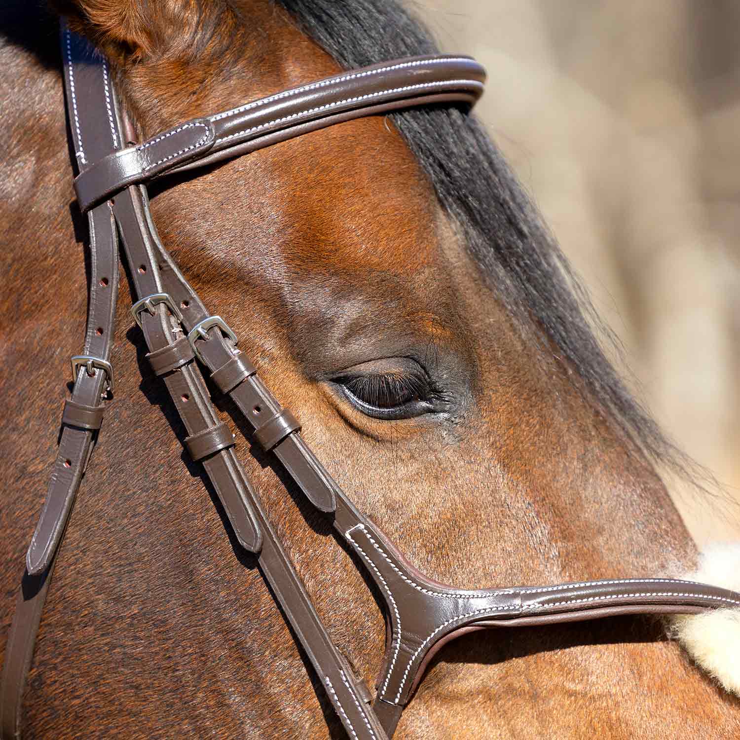 Jeffers Uniquely English Hickstead Figure-8 Bridle with Web Reins for Horses - Image 9