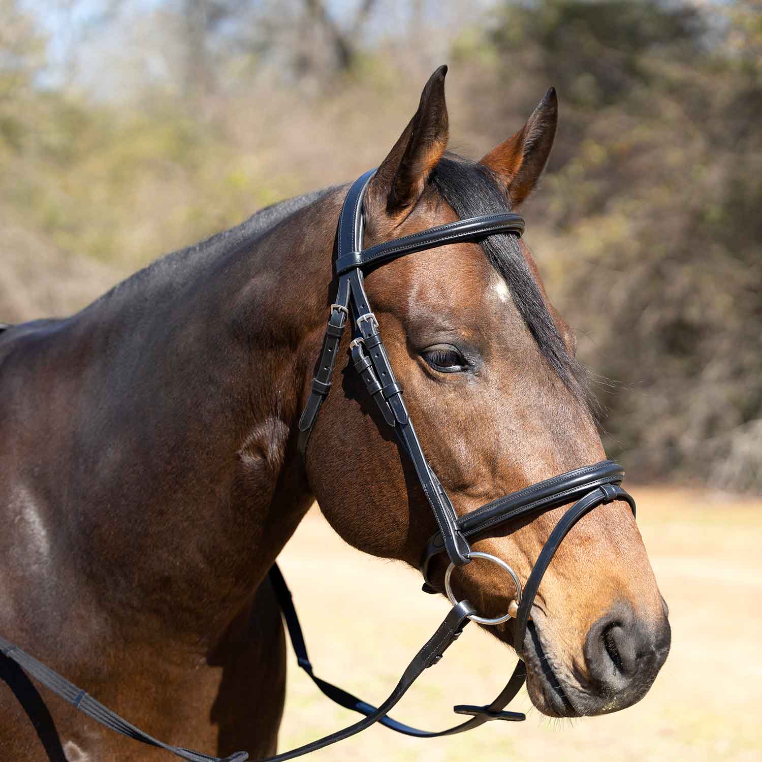 Jeffers Uniquely English "Windsor" Leather Dressage Bridle With Web Reins for Horses - Image 6