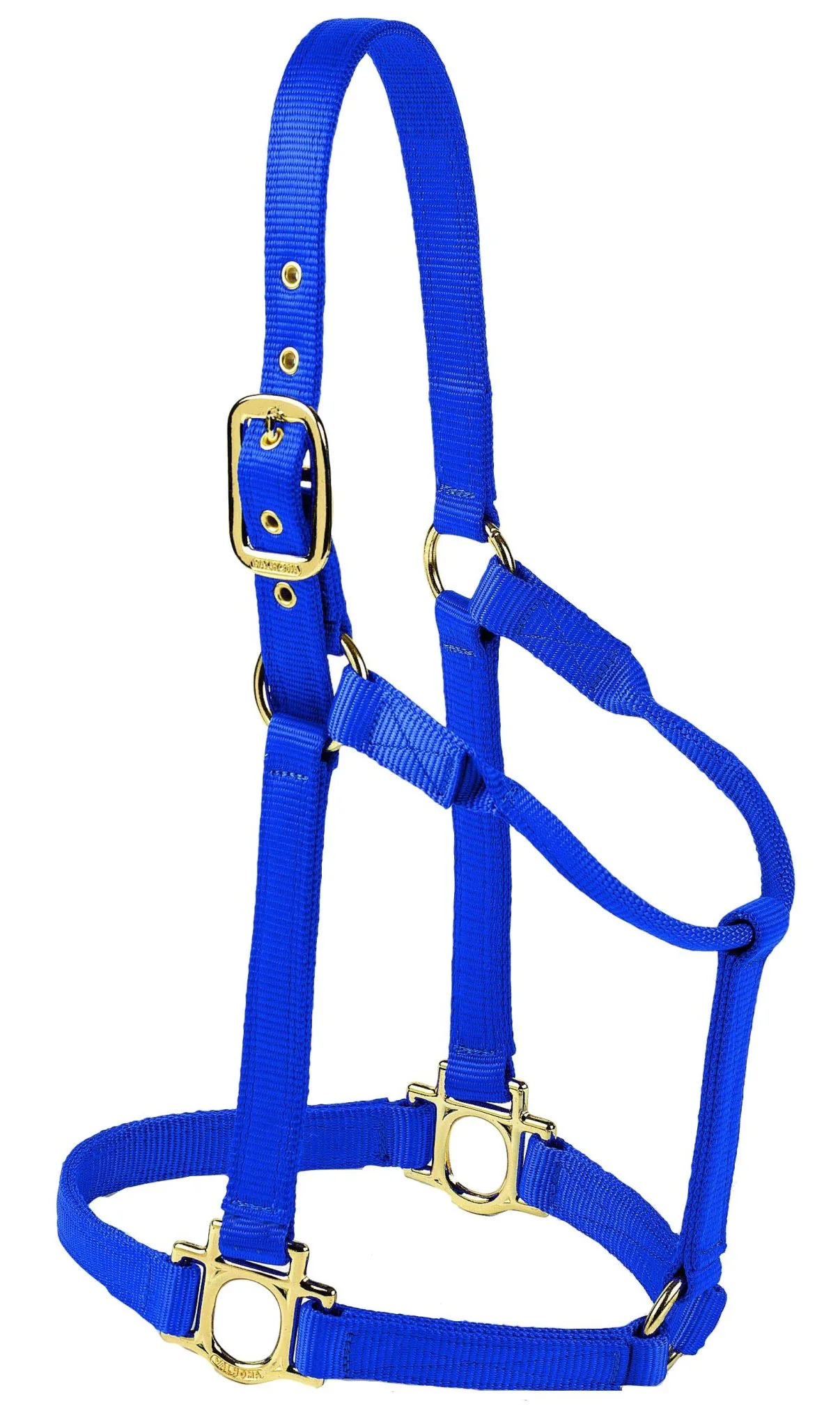 Valhoma Premium Nylon Halter - Image 12