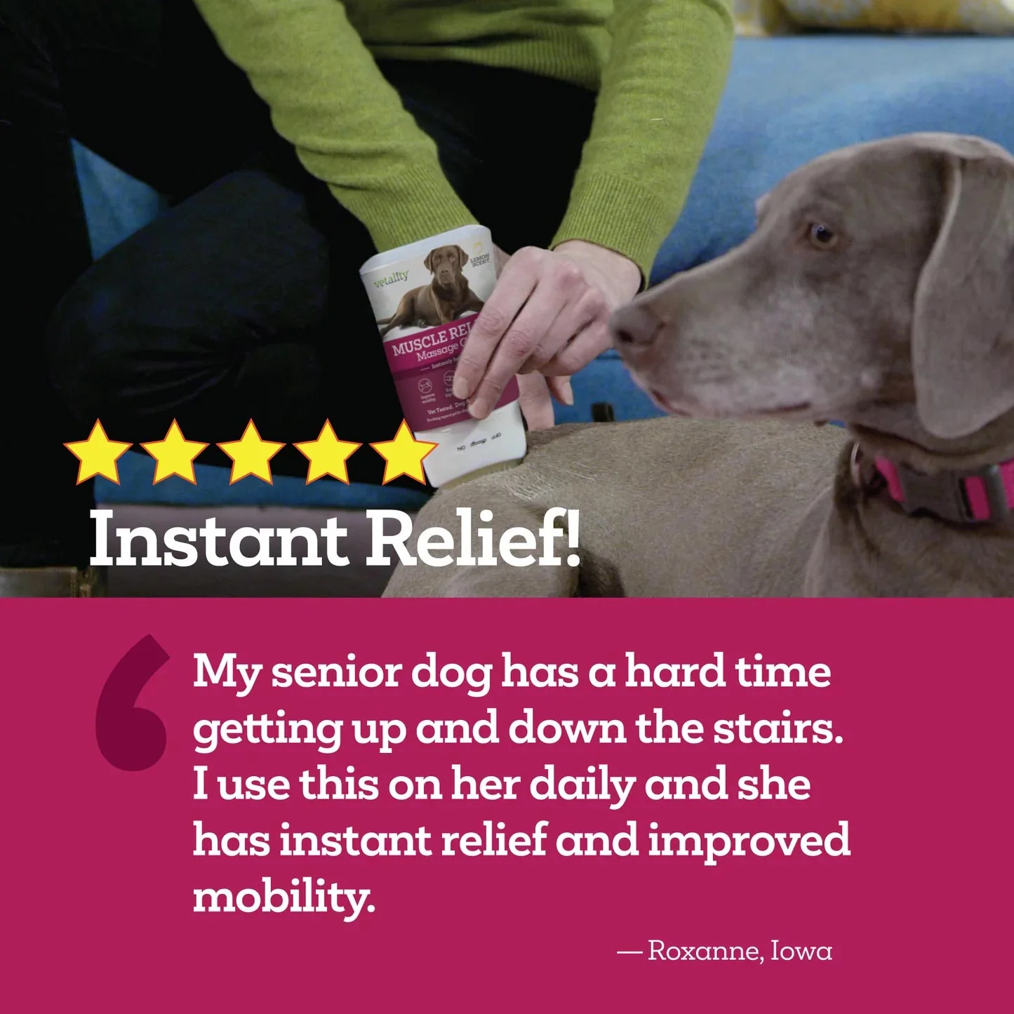 Vetality Muscle Relief Massage Gel for Dogs – Soothe Sore Muscles & Joints, Improve Mobility - Image 6