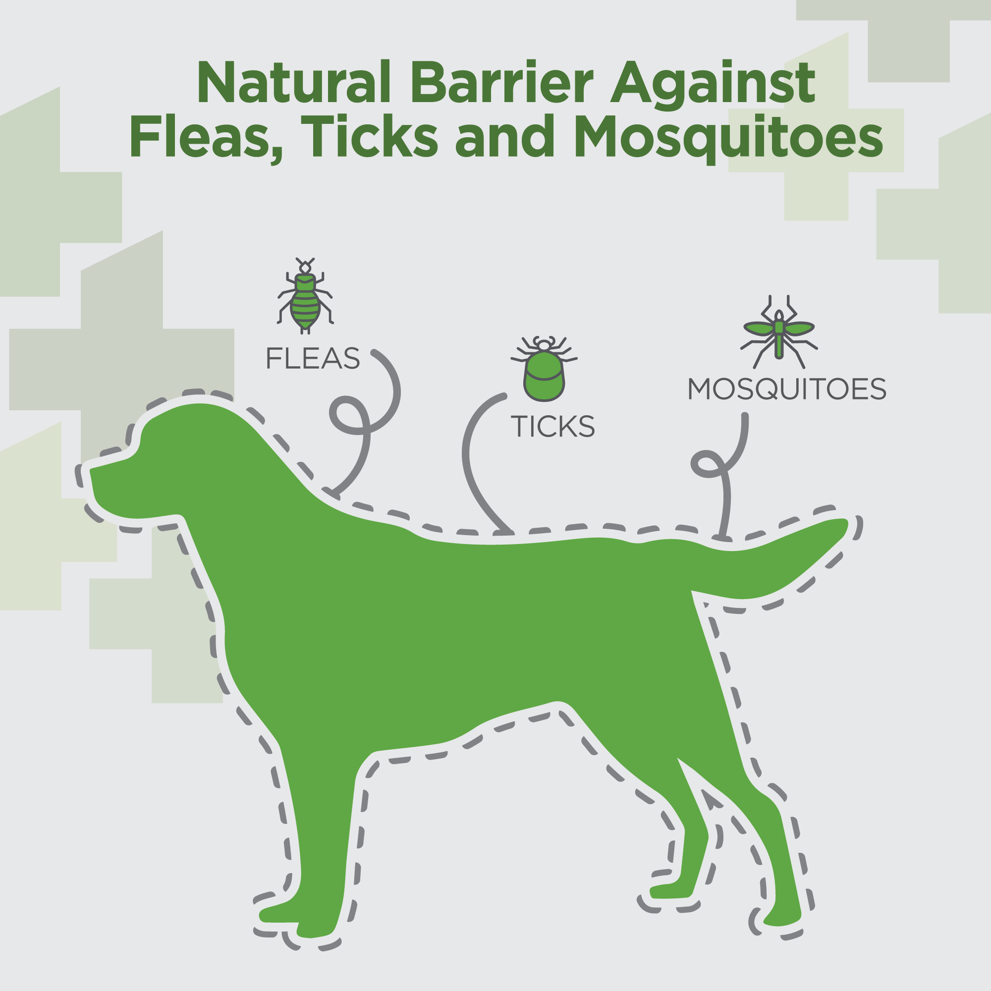 Vetality Naturals Oral Flea & Tick Chews for Dogs - Image 6