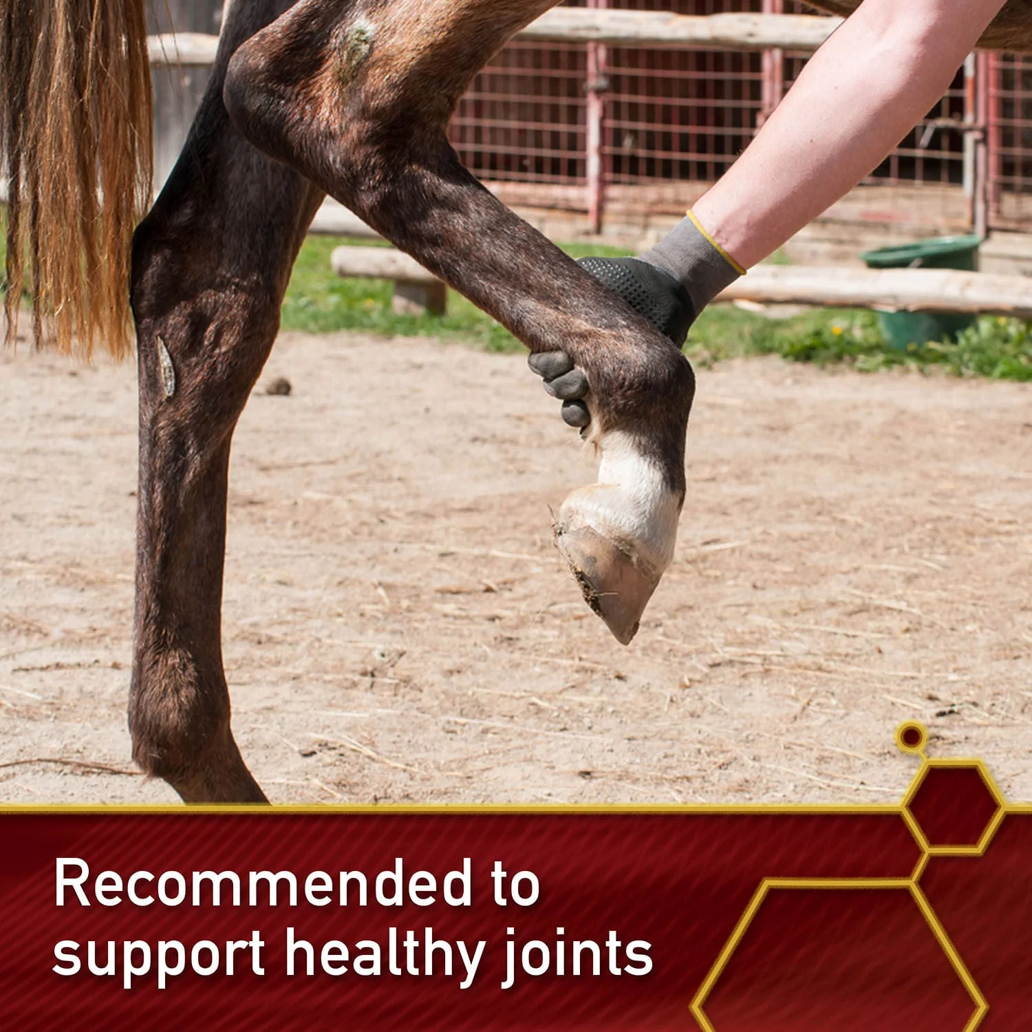 Vita Flex Pro Master's Hoof Blend Formula - Image 3