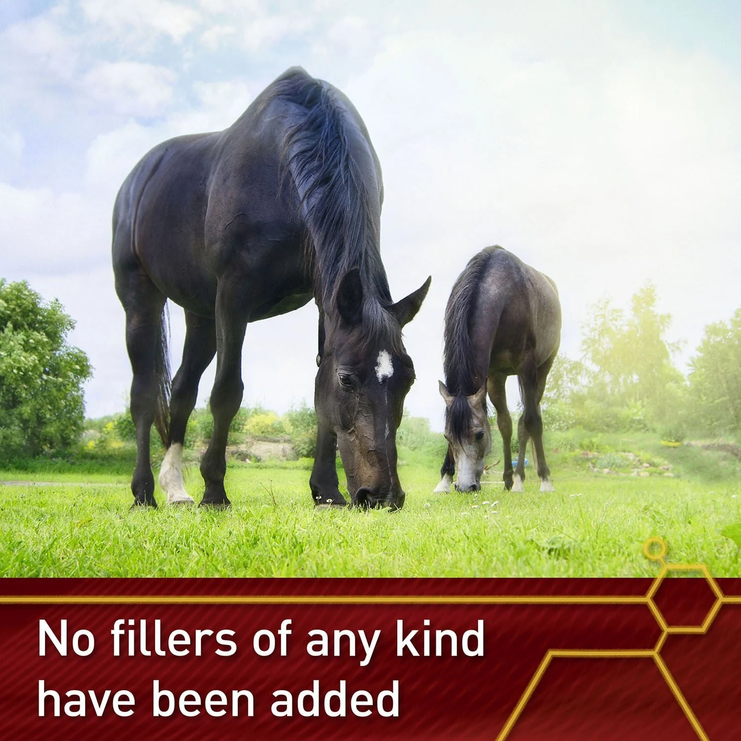 Vita Flex Pure C Premium Quality Vitamin C for Horses, 128 Day Supply - Image 6