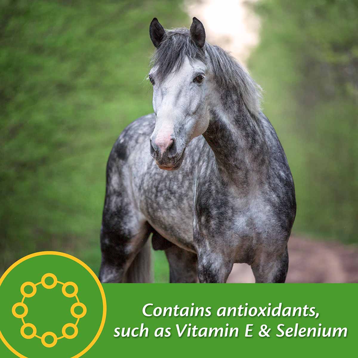 Vita Plus Balanced Vitamin & Mineral Supplement - Image 4
