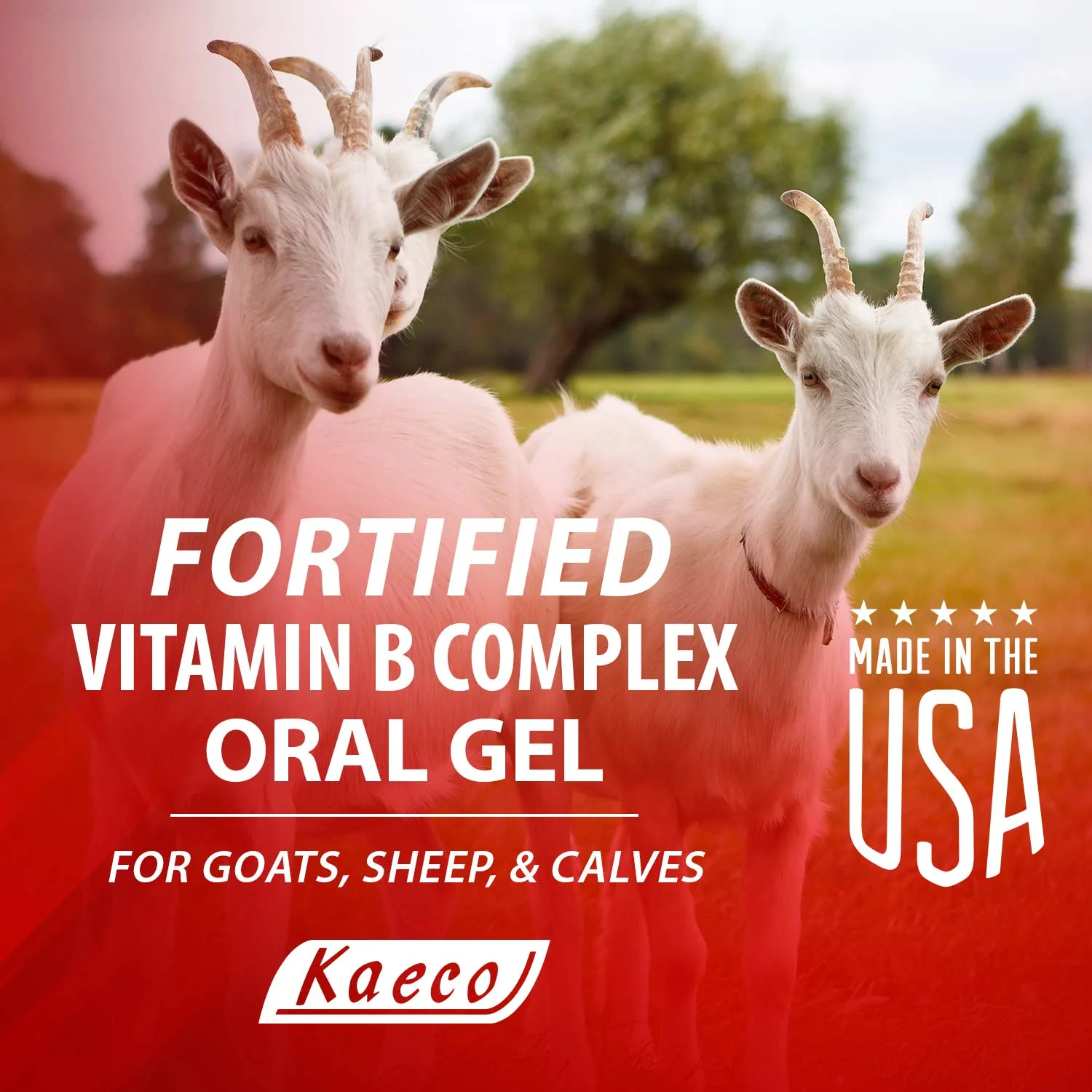 Fortified Vitamin B Complex Gel for Goats, Sheep & Calves - Image 4