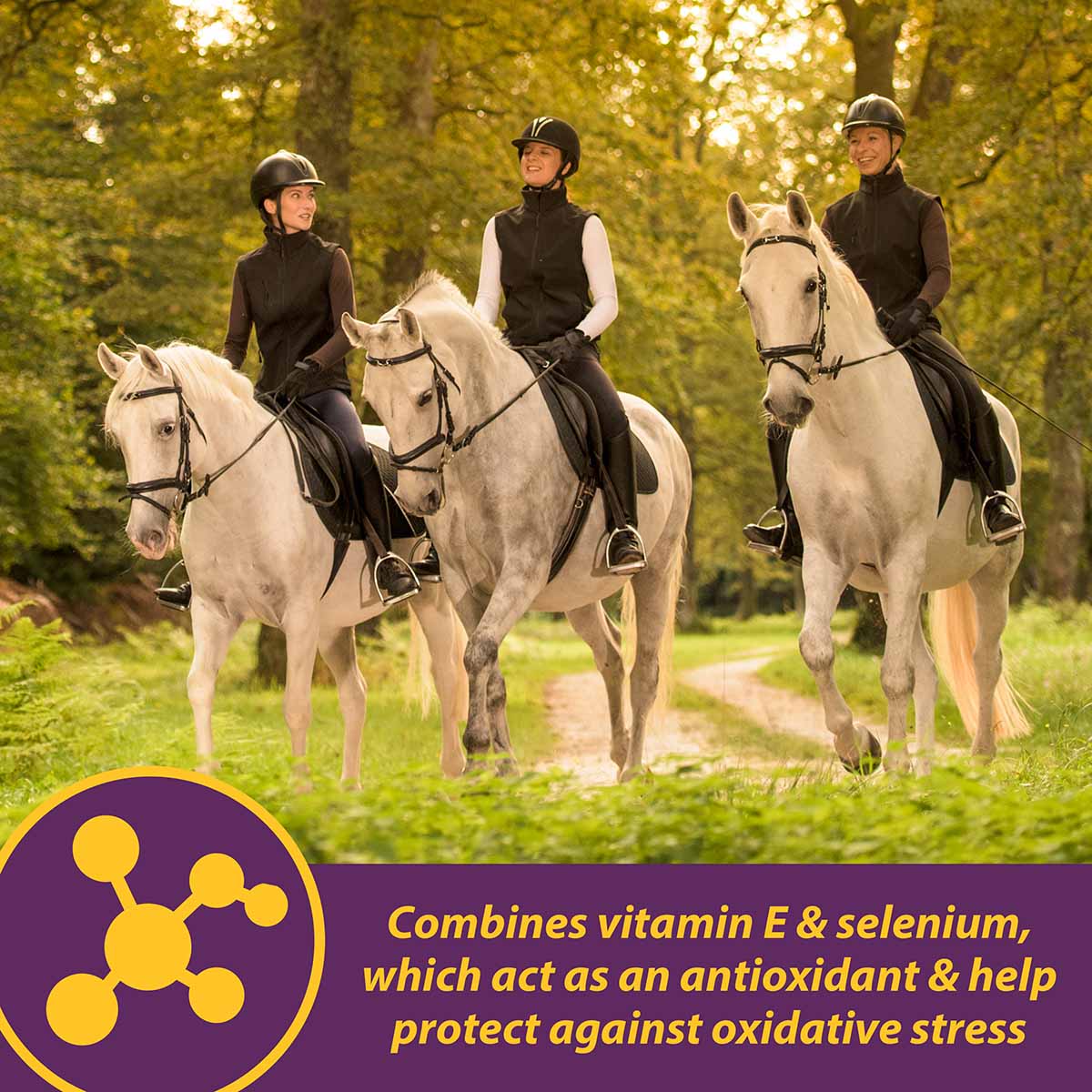 Vitamin E and Selenium Crumbles - Image 4