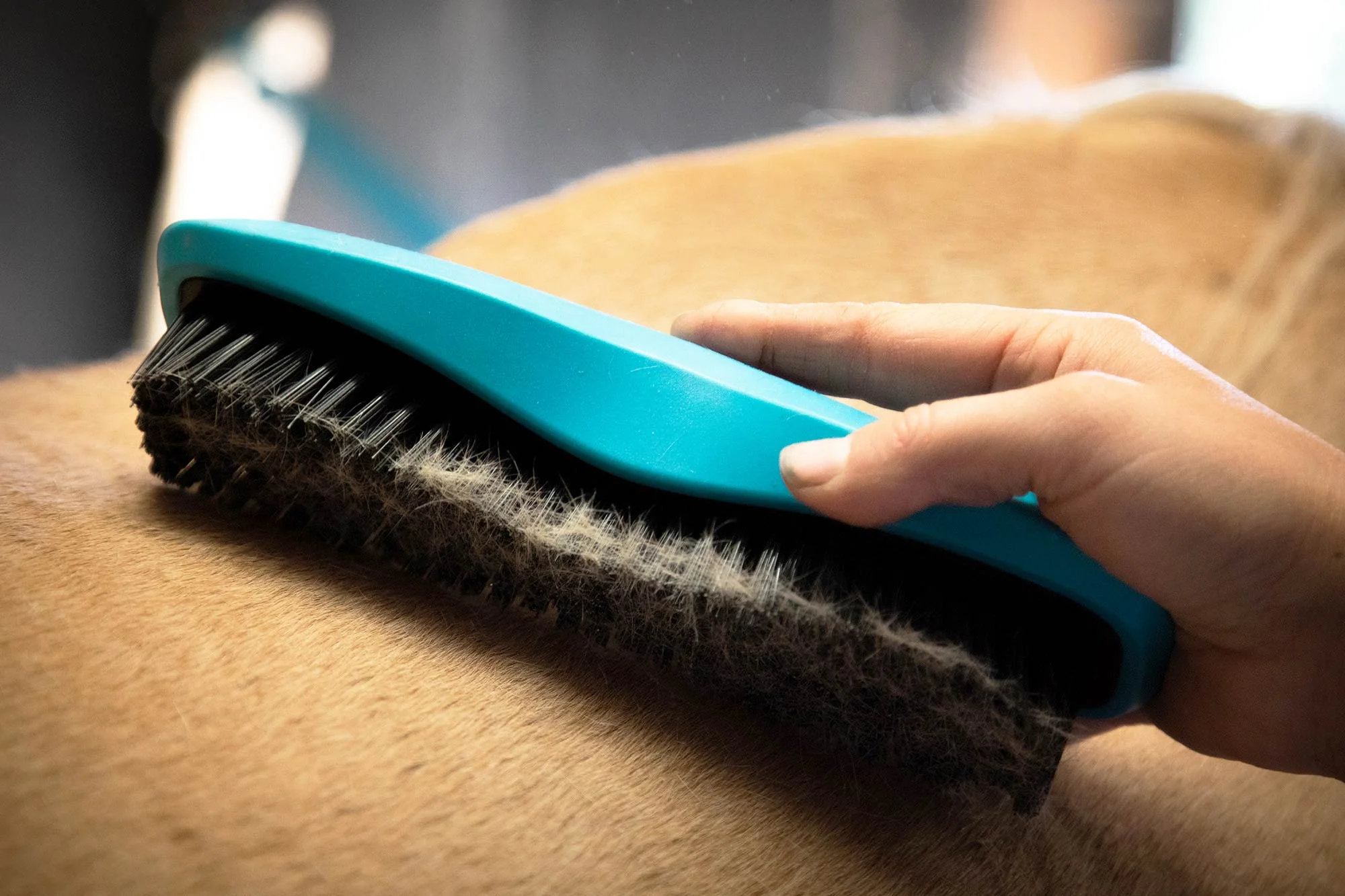 Wahl Stiff Body Brush - Image 5