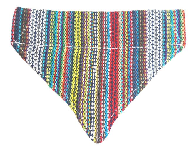 Walking Palm Dog Bandana - Image 7