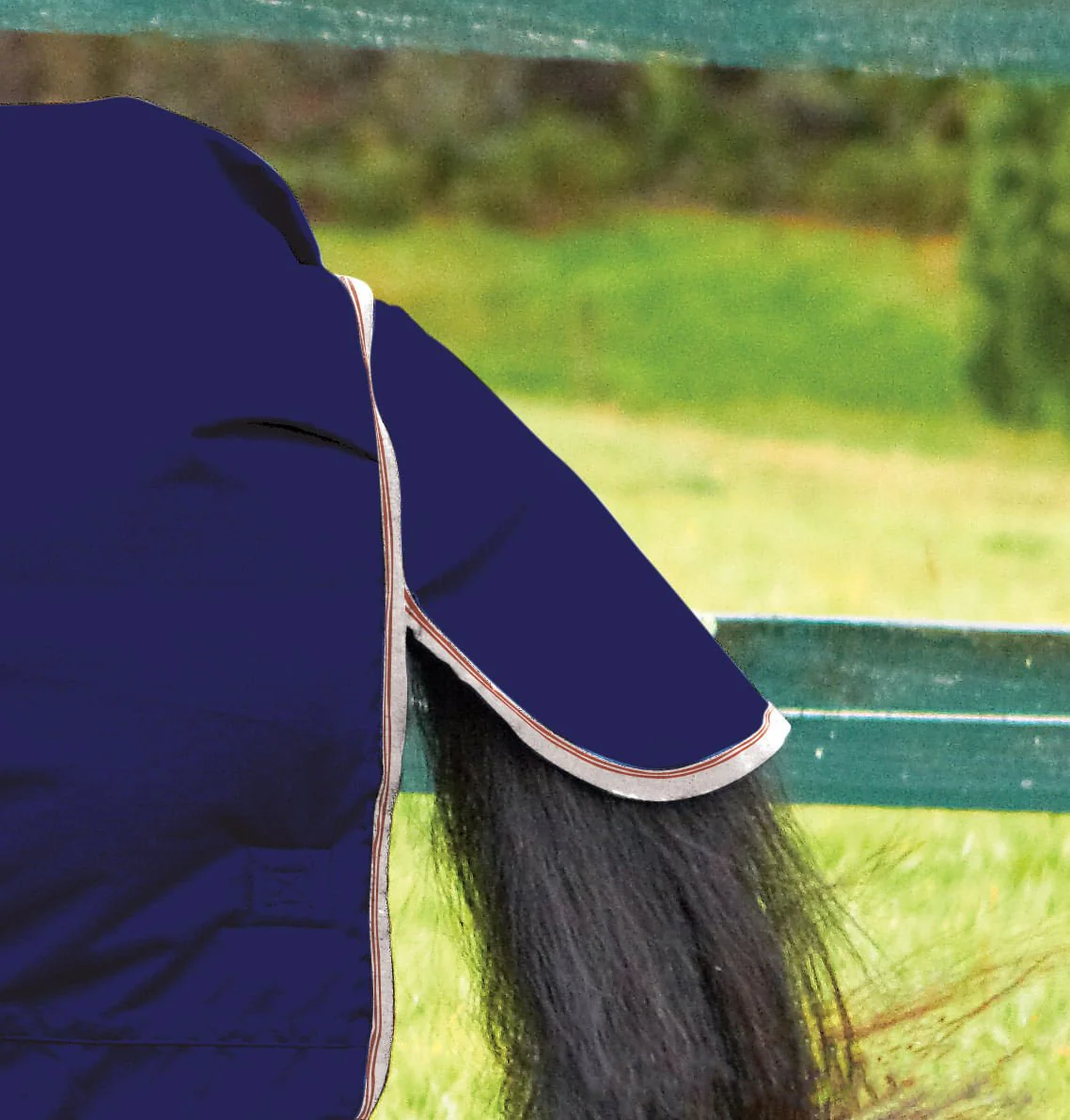 WeatherBeeta ComFITec Essential Combo Neck Heavy Weight Horse Blanket, 1200D, 360 Gram - Image 2
