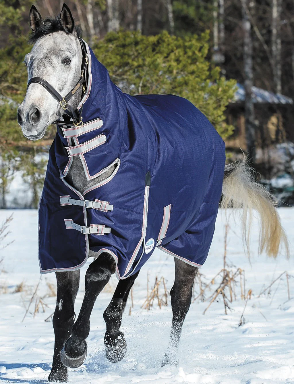 WeatherBeeta ComFITec Essential Combo Neck Heavy Weight Horse Blanket, 1200D, 360 Gram - Image 7
