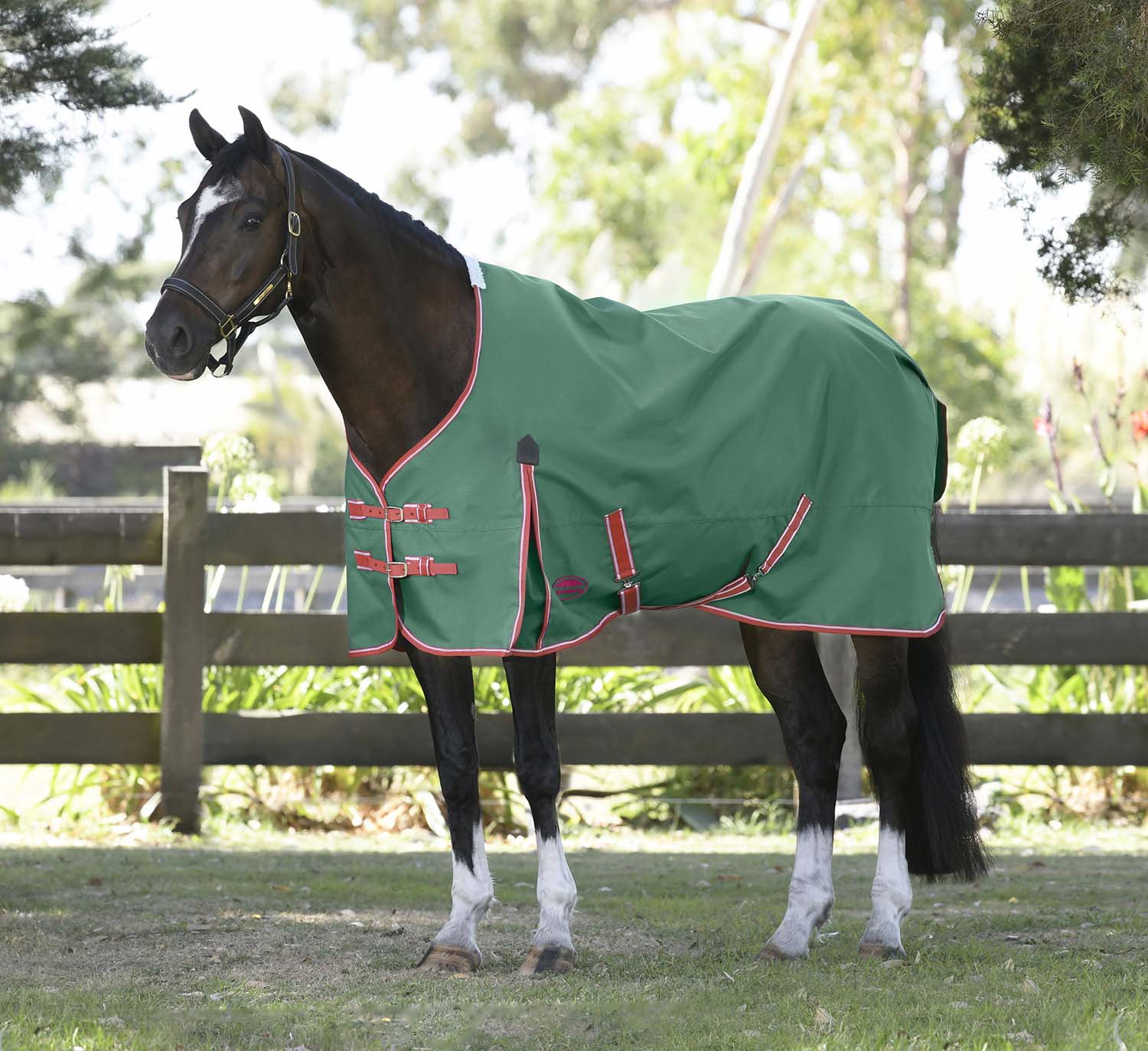 WeatherBeeta ComFITec Prelim Standard Neck Horse Turnout Sheet, 1200D, 0 Gram - Image 2