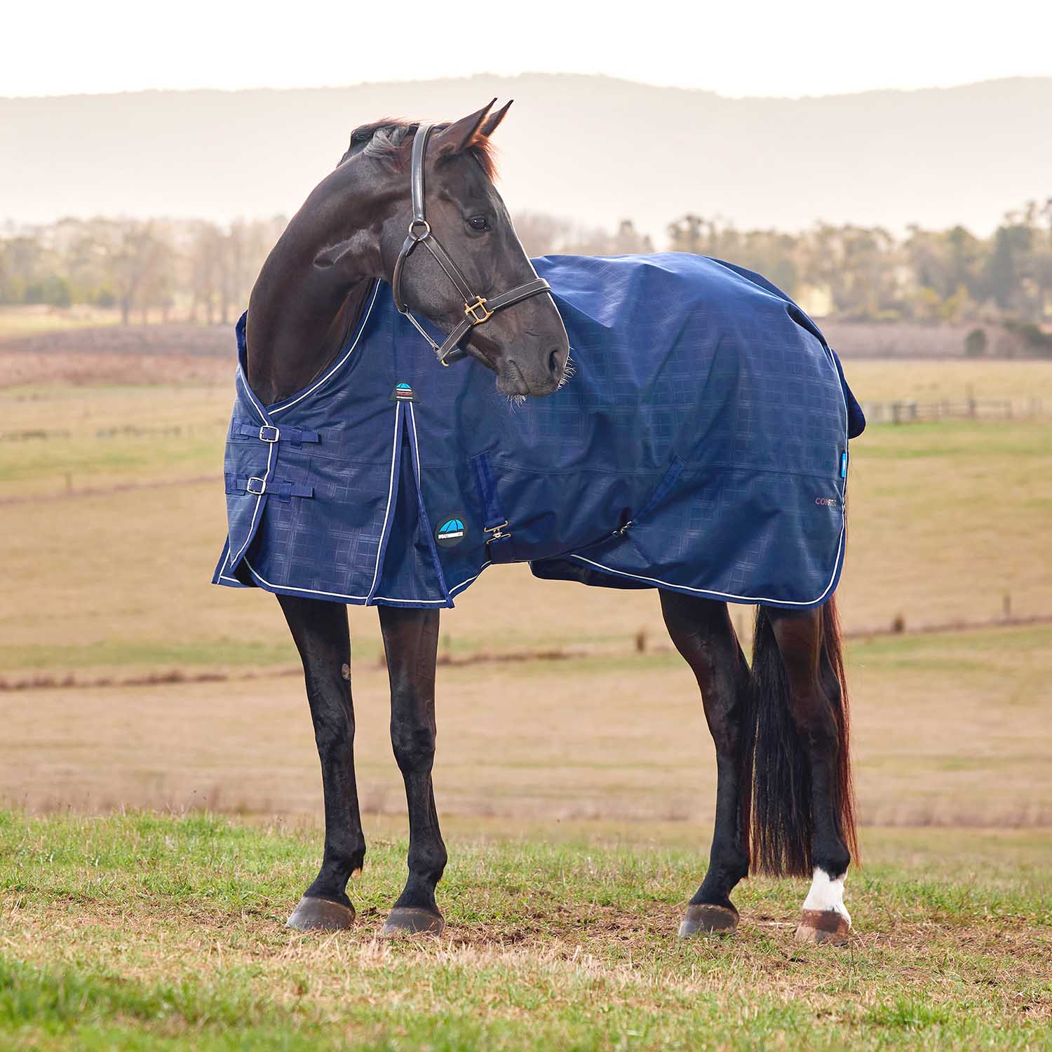 WeatherBeeta ComFiTec Prelim 1200 Denier Medium Weight Waterproof Turnout Blanket for Horses - Standard Neck, Insulated & Durable