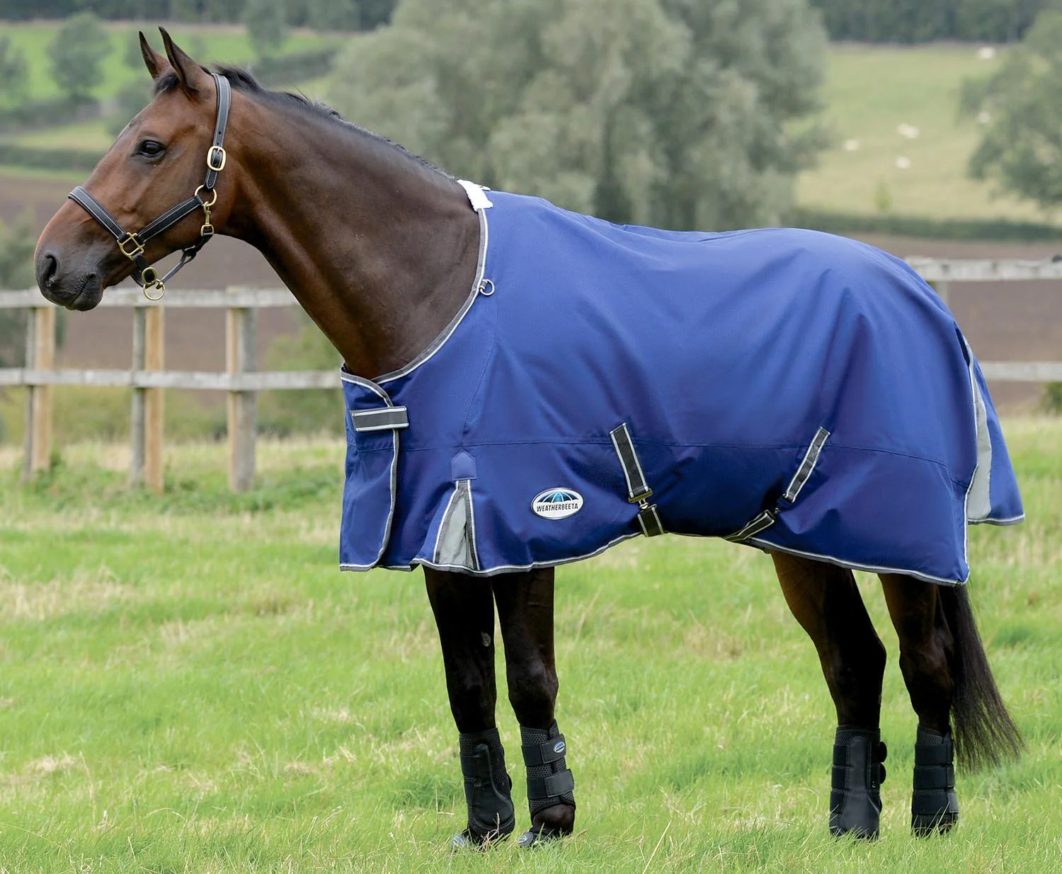 WeatherBeeta ComFITec Premier Free II Standard Neck Horse Turnout Blanket, Medium, 1200D, 220 Gram, Dark Blue/Grey