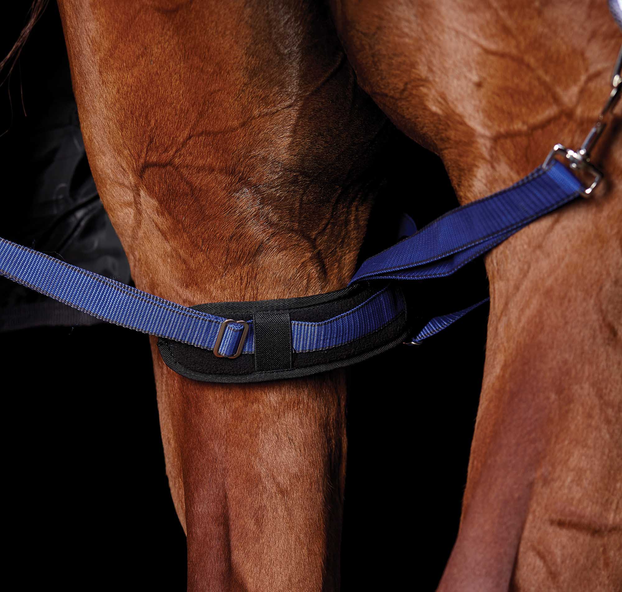 WeatherBeeta Padded Hind Leg Straps, Pair