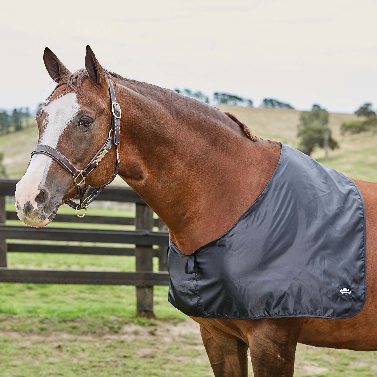 WeatherBeeta Satin Shoulder Guard