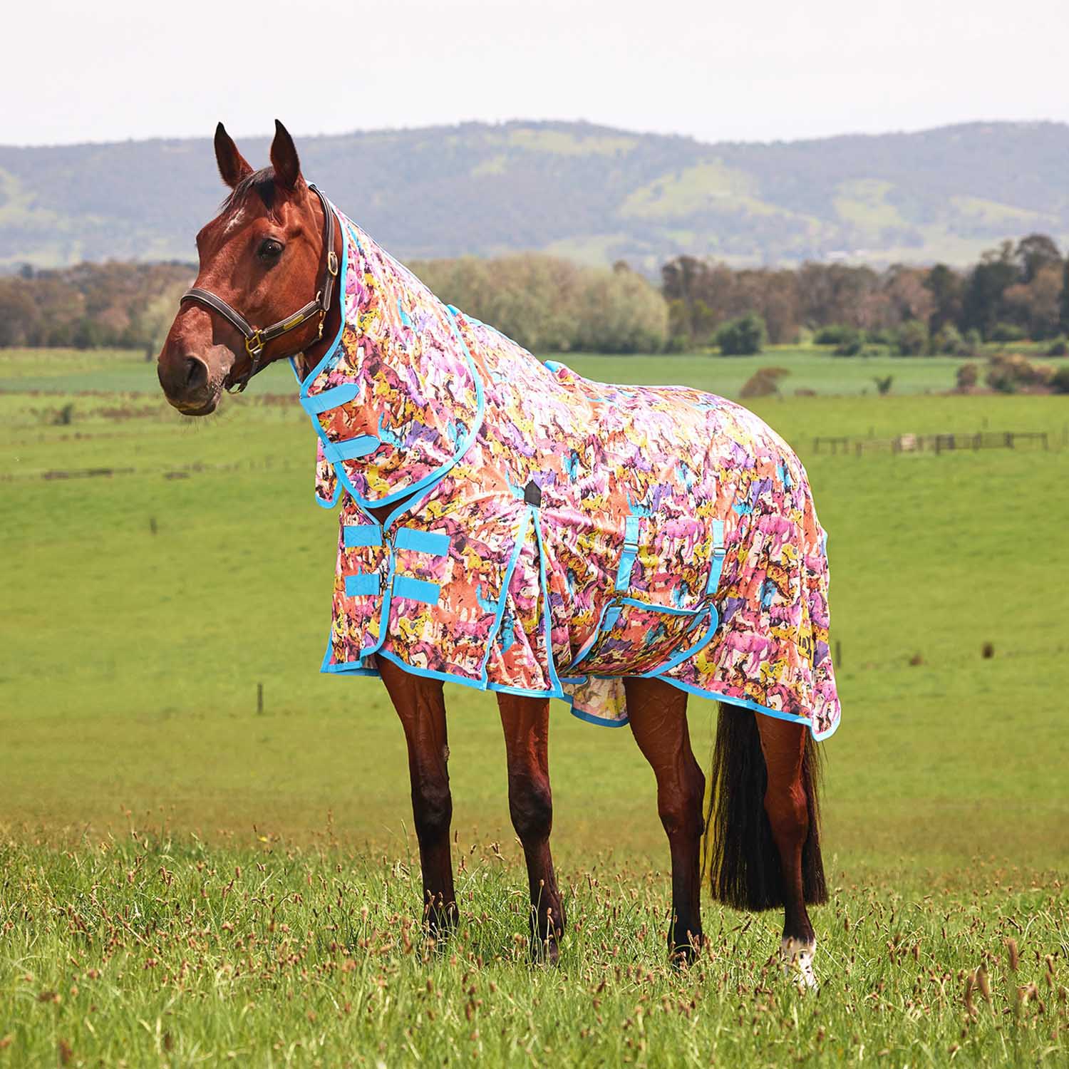 WeatherBeeta Saxon Combo Neck Mesh Horse Fly Sheet with Belly Wrap