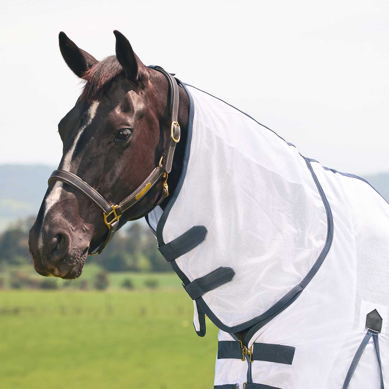 WeatherBeeta Saxon Combo Neck Mesh Horse Fly Sheet with Belly Wrap - Image 10