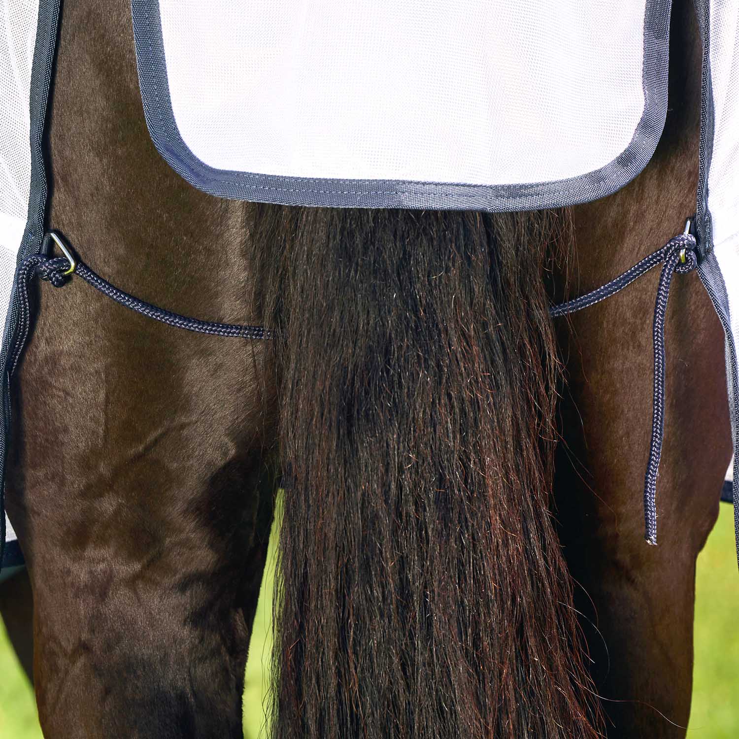 WeatherBeeta Saxon Combo Neck Mesh Horse Fly Sheet with Belly Wrap - Image 14