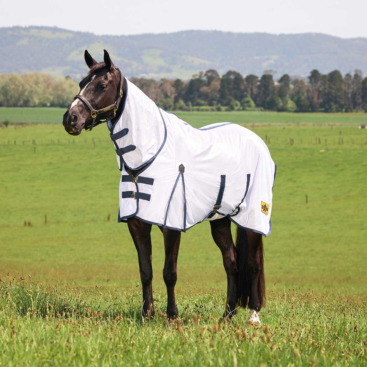 WeatherBeeta Saxon Combo Neck Mesh Horse Fly Sheet with Belly Wrap - Image 9