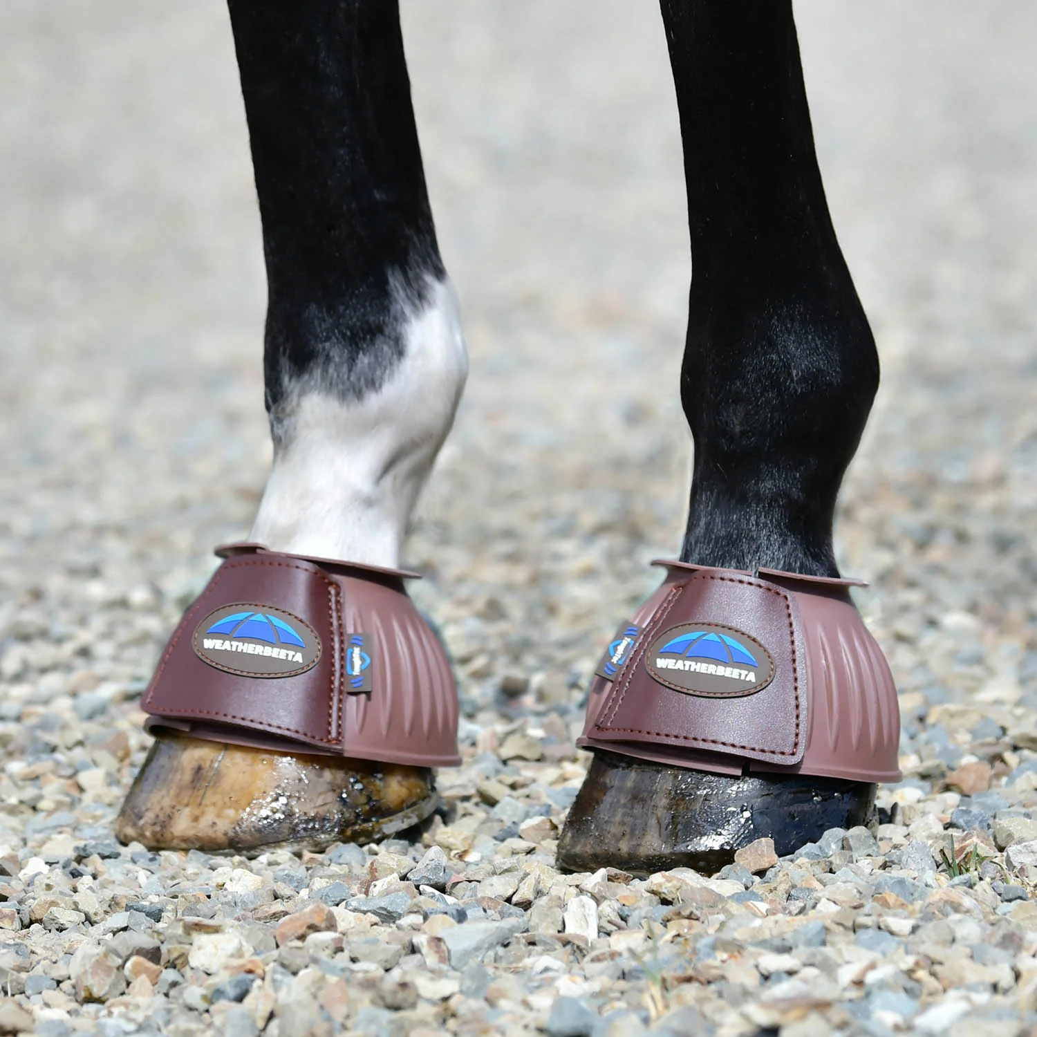 WeatherBeeta Tough-Tec Prime Rubber Bell Boots for Horses - Image 10