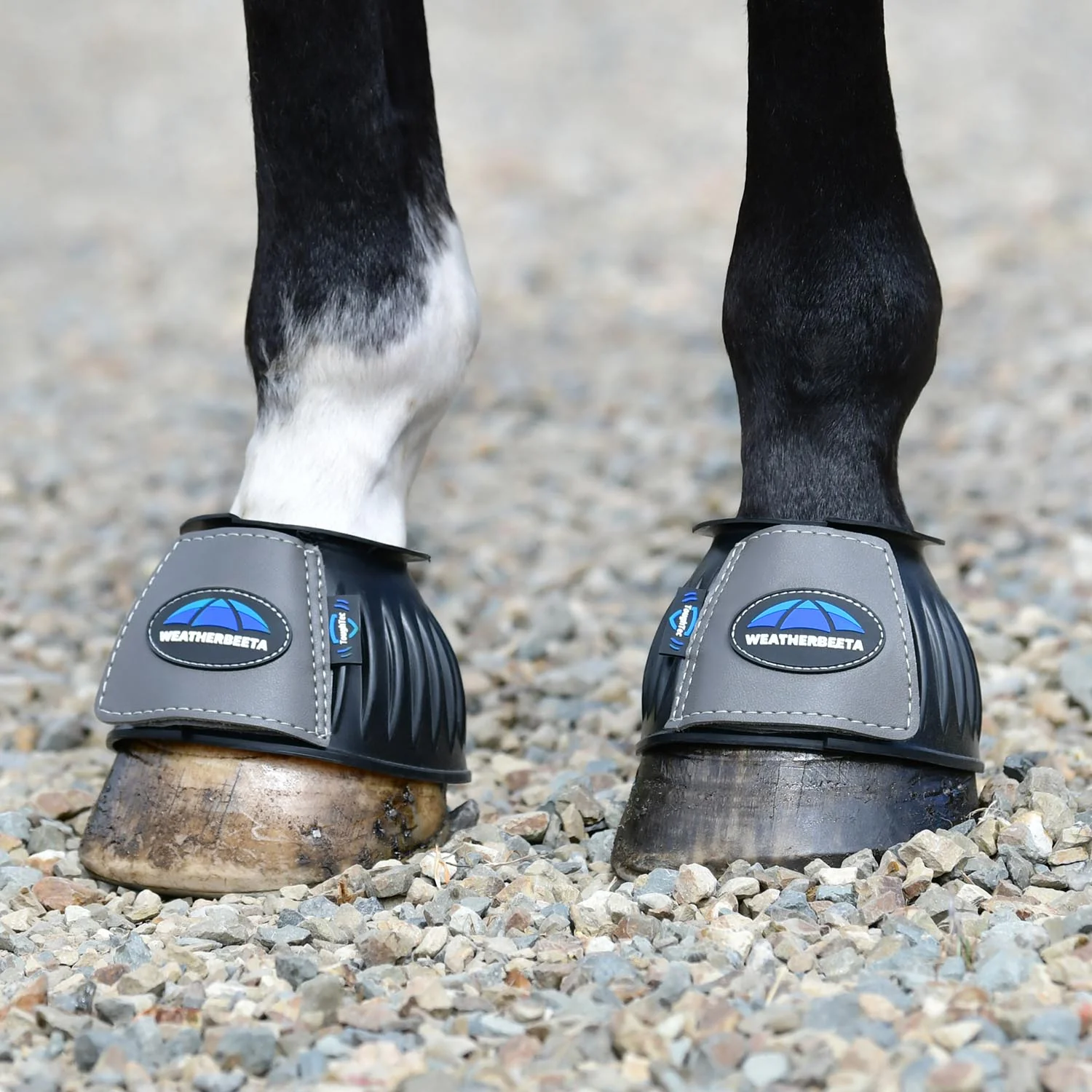 WeatherBeeta Tough-Tec Prime Rubber Bell Boots for Horses - Image 40