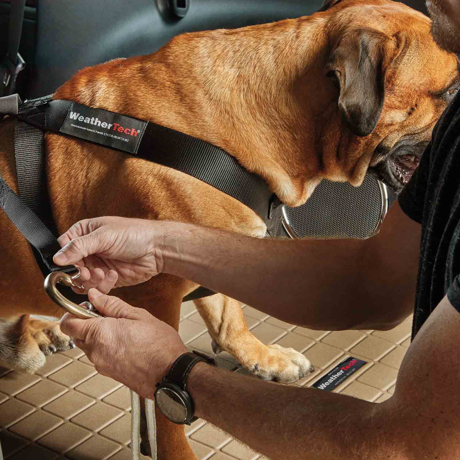 WeatherTech Travel Safe Dog Harness - Image 4