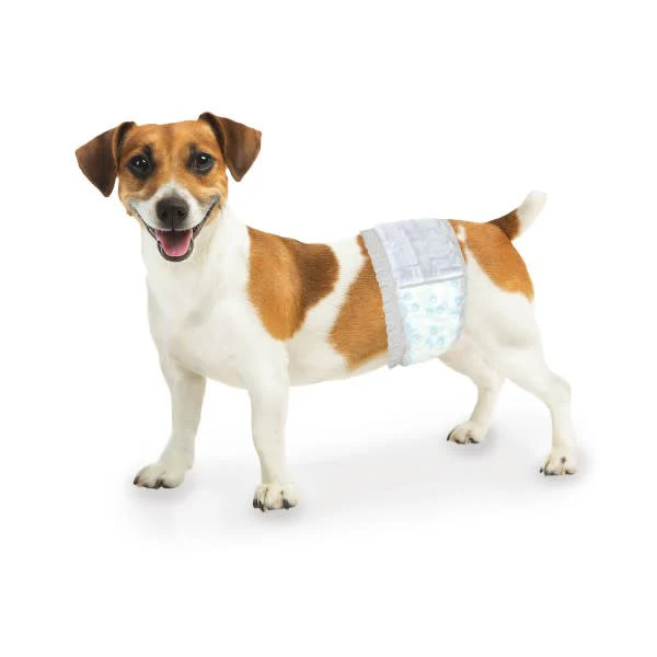 Wee-Wee Disposable Male Dog Wraps - Image 15