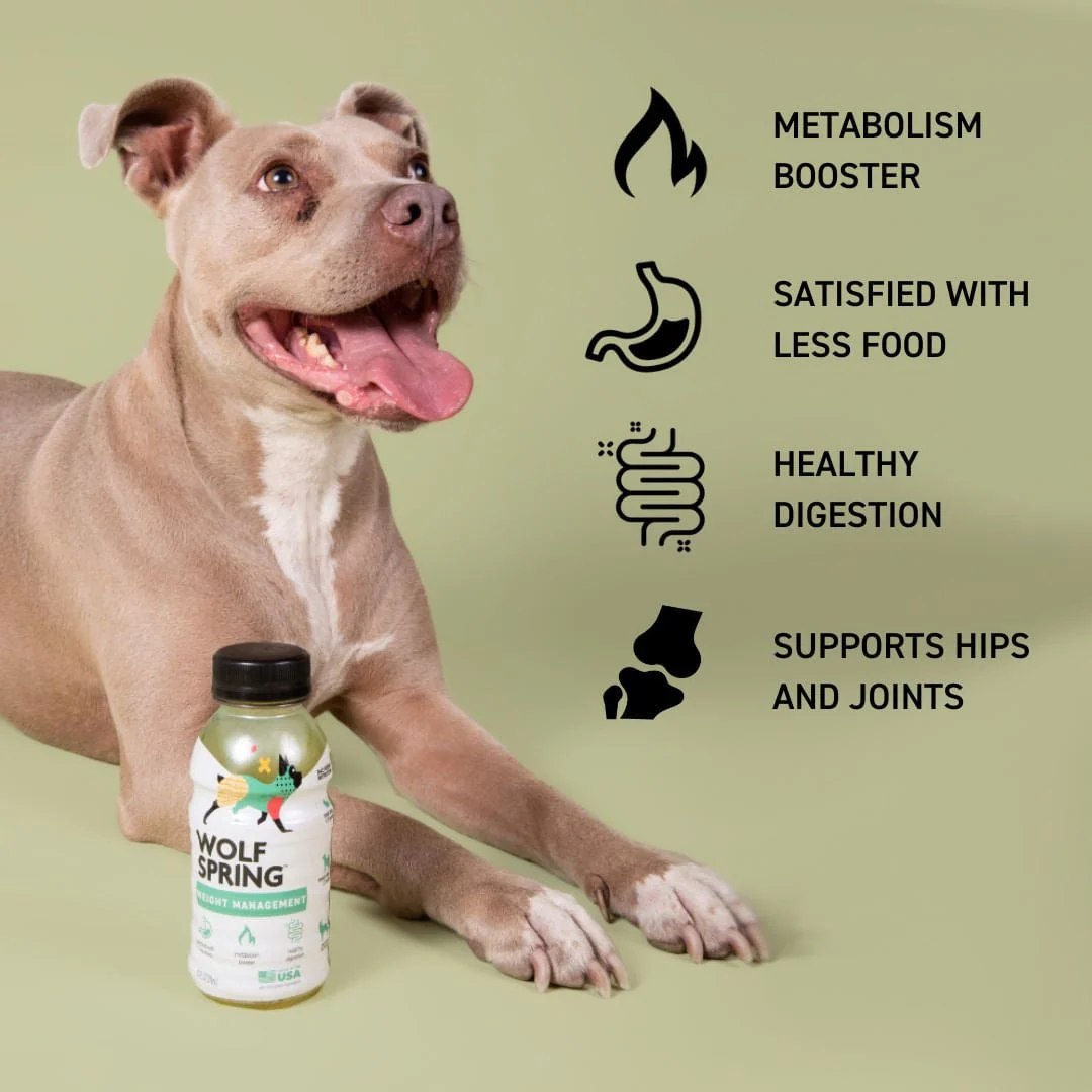 Weight Management Food Topper for Dogs - Image 6