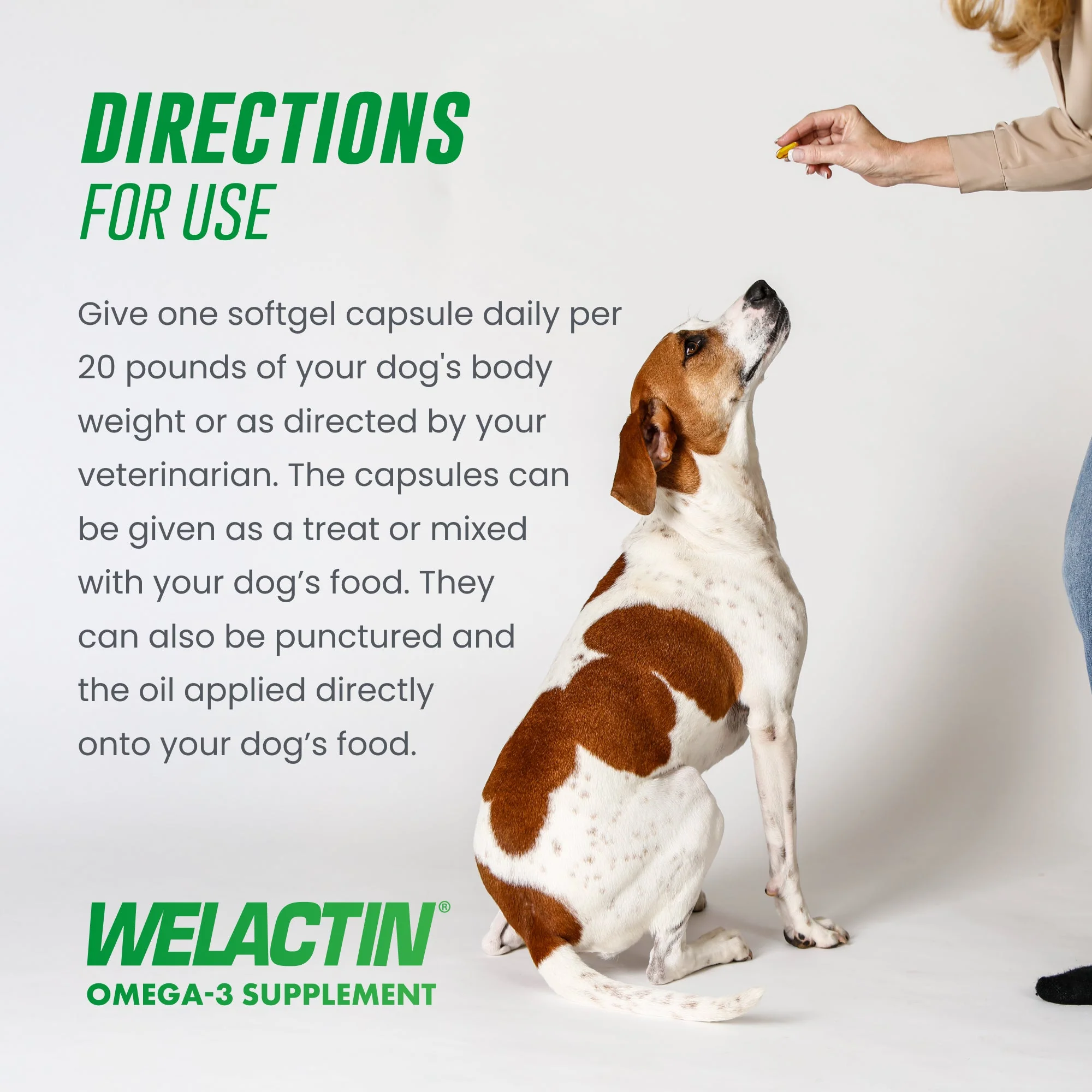 Nutramax Welactin Canine Softgels - Omega 3 Supplement for Dogs - Image 7