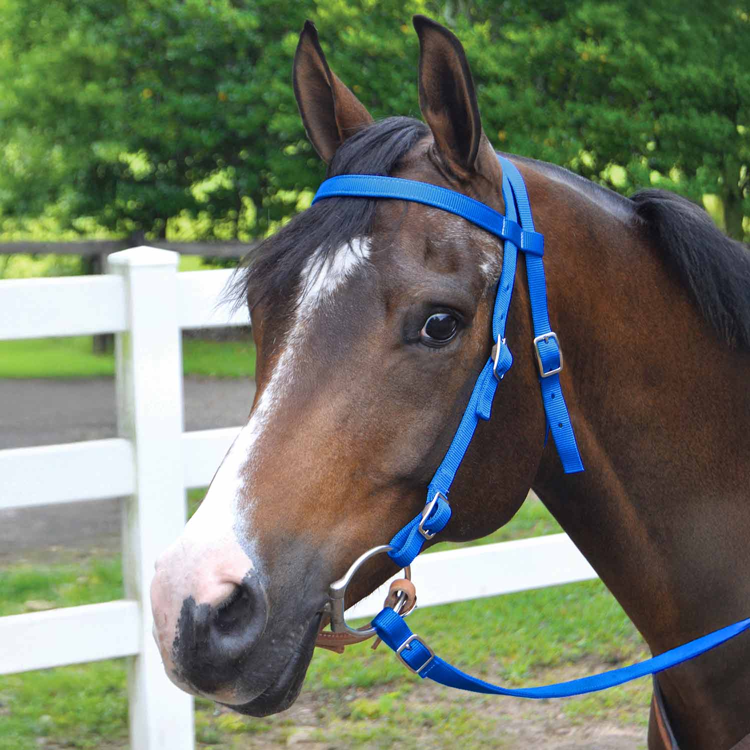 Jeffers Western Nylon Horse Bridle with 6' Split Reins Set - Image 6