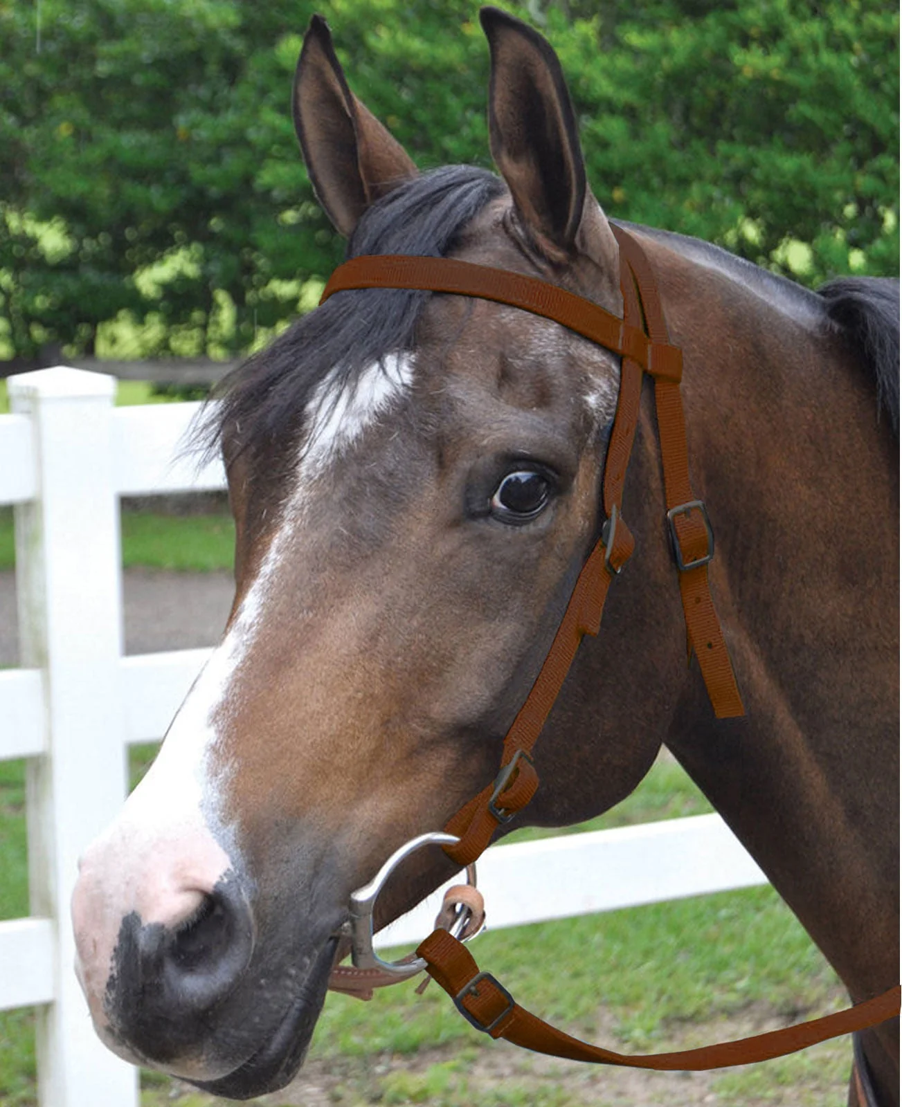 Jeffers Western Nylon Horse Bridle with 6' Split Reins Set - Image 8