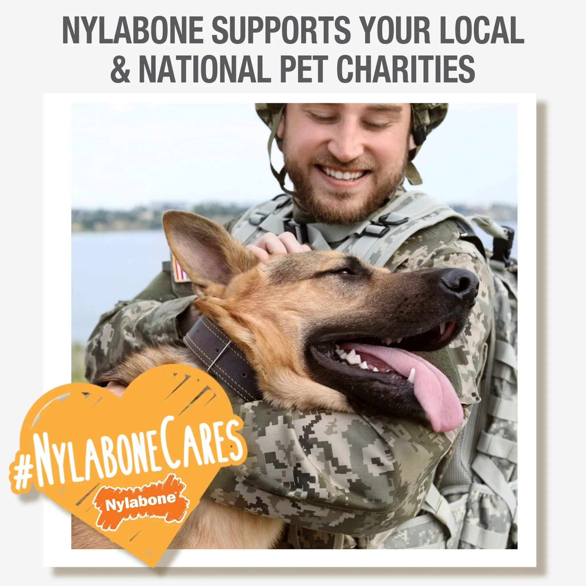 Nylabone Wishbone Dura Chew for Dogs - Image 8