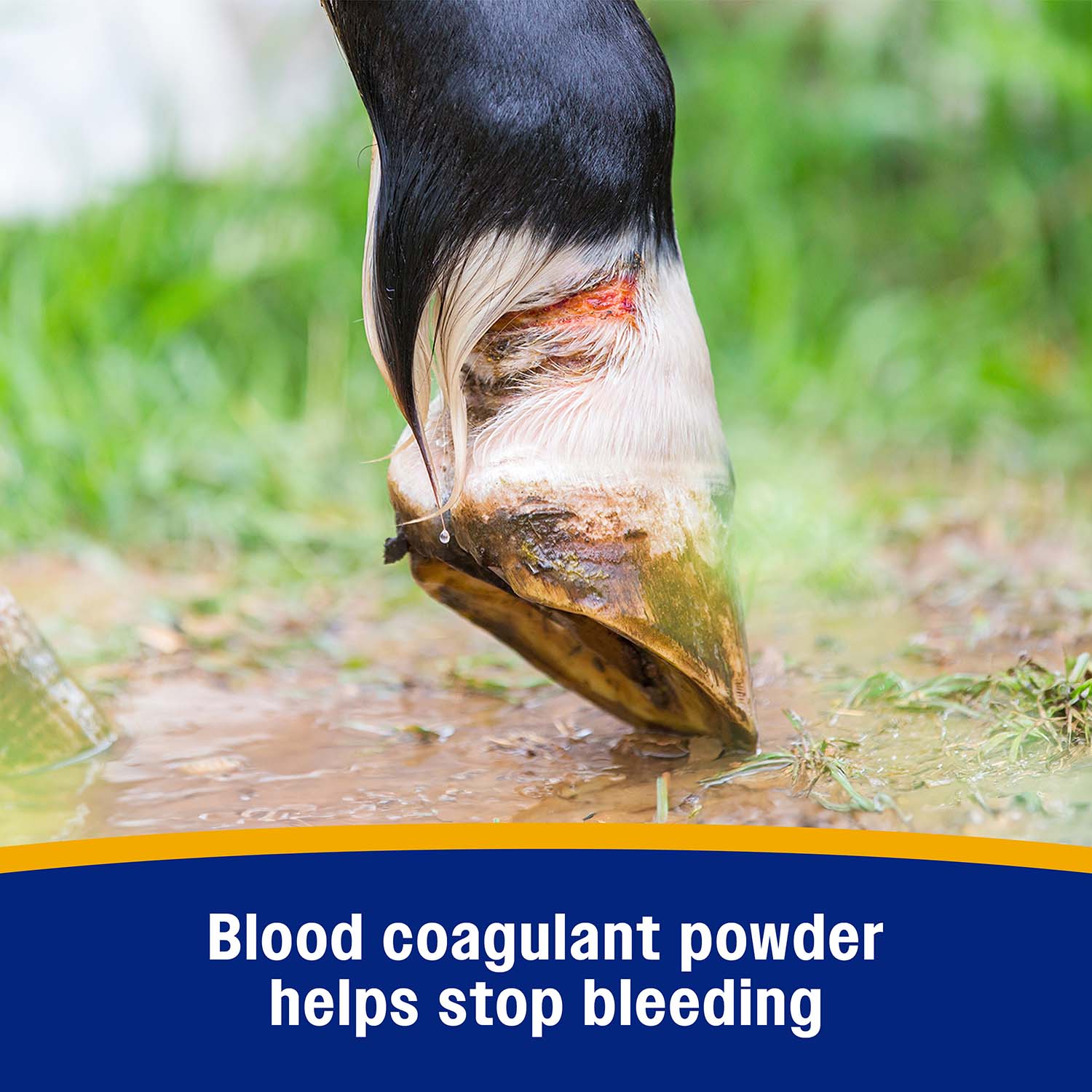 Wonder Dust Wound Powder & Blood Coagulant - Image 7