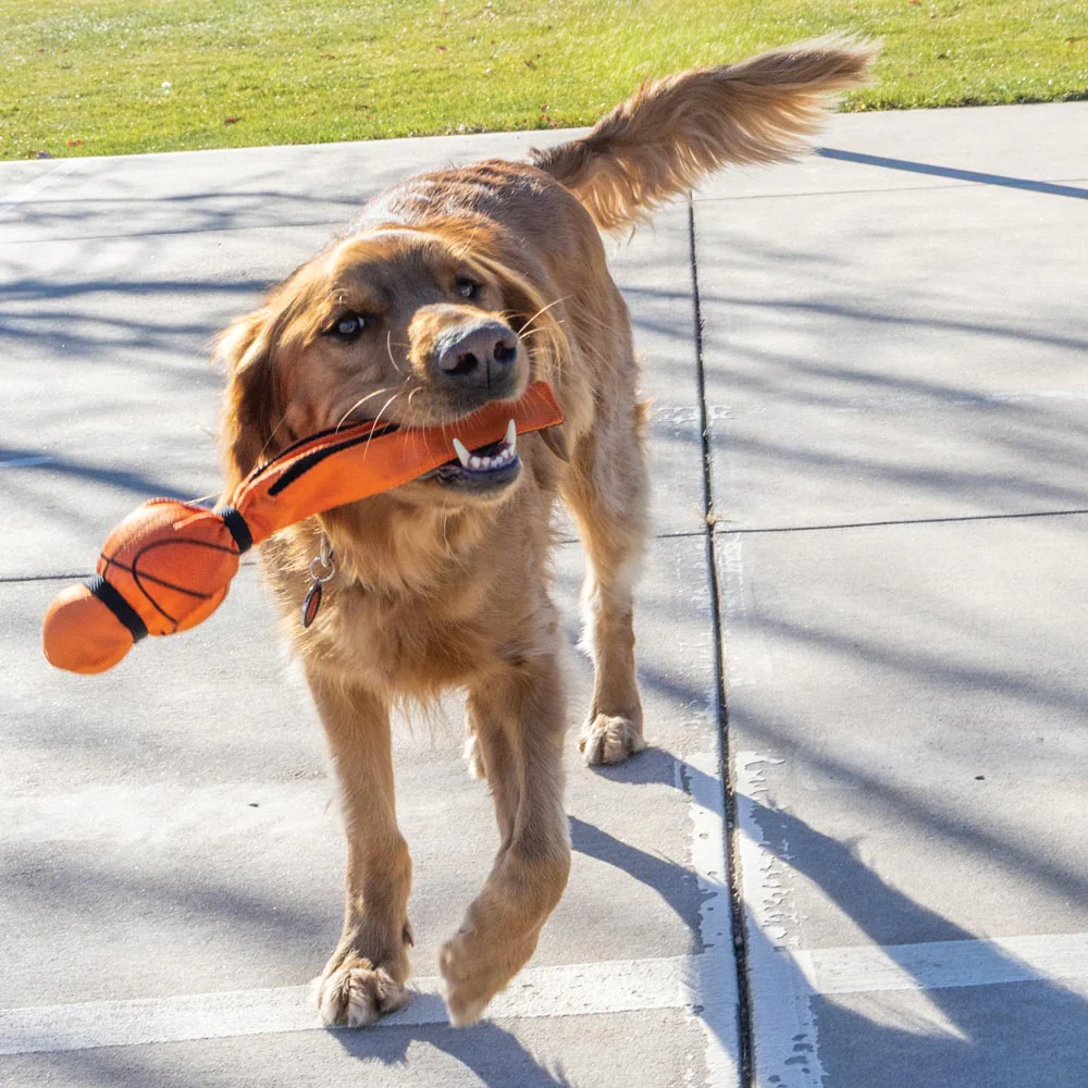 KONG Wubba® Sport Tug & Fetch Dog Toy with Long Floppy Tail & Squeaker - Image 15