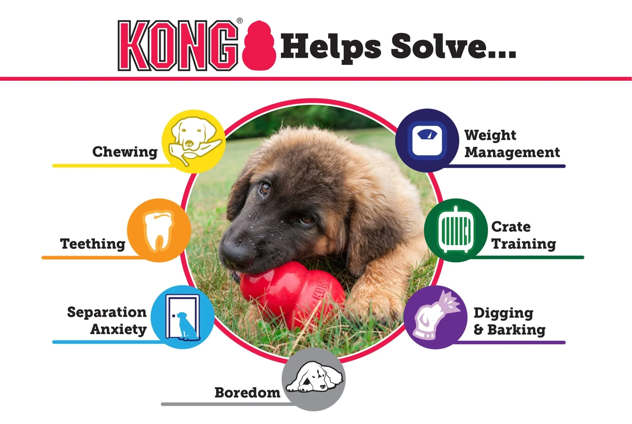 KONG Classic Dog Toy - Image 4