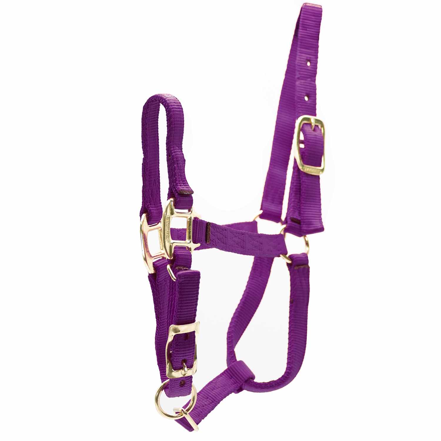 Durable Adjustable 1" Nylon Horse Halter