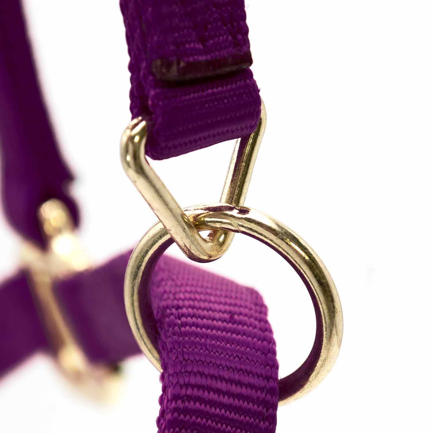 Durable Adjustable 1" Nylon Horse Halter - Image 2